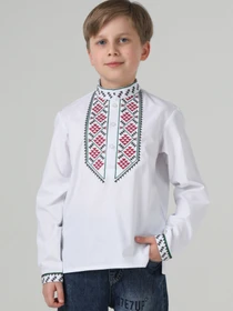 Вышиванки Folk Moda модель fm3099-blij Фото