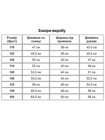 Вышиванки Folk Moda модель fm3103-blij Фото