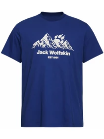 Футболки і поло Jack Wolfskin модель A66090_T0464 Фото