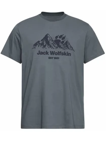 Футболки і поло Jack Wolfskin модель A66090_T0466 Фото