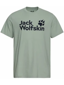 Футболки и поло Jack Wolfskin модель A65910_T0452 Фото
