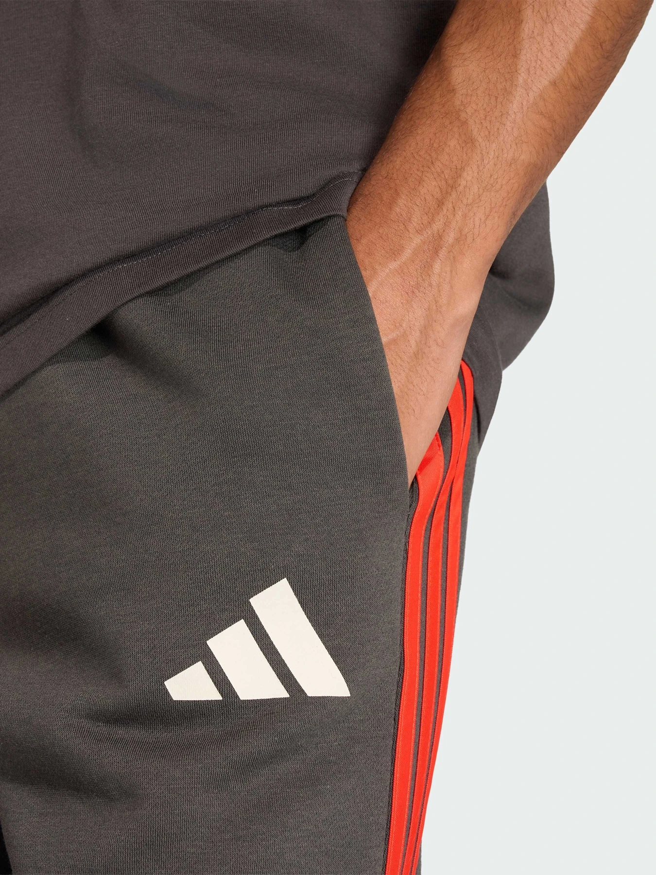 Шорты Adidas модель KE6786 Фото