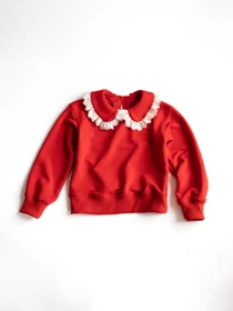 Худи и свитшоты Alwair Kids модель 81063 Фото