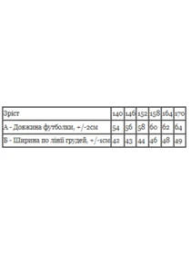 Футболки и поло Носи своє модель 6414-001-33-2-4-burshtin-sun Фото