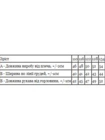 Худі та світшоти Носи своє модель 6394-025-4-sinxo-chornij Фото
