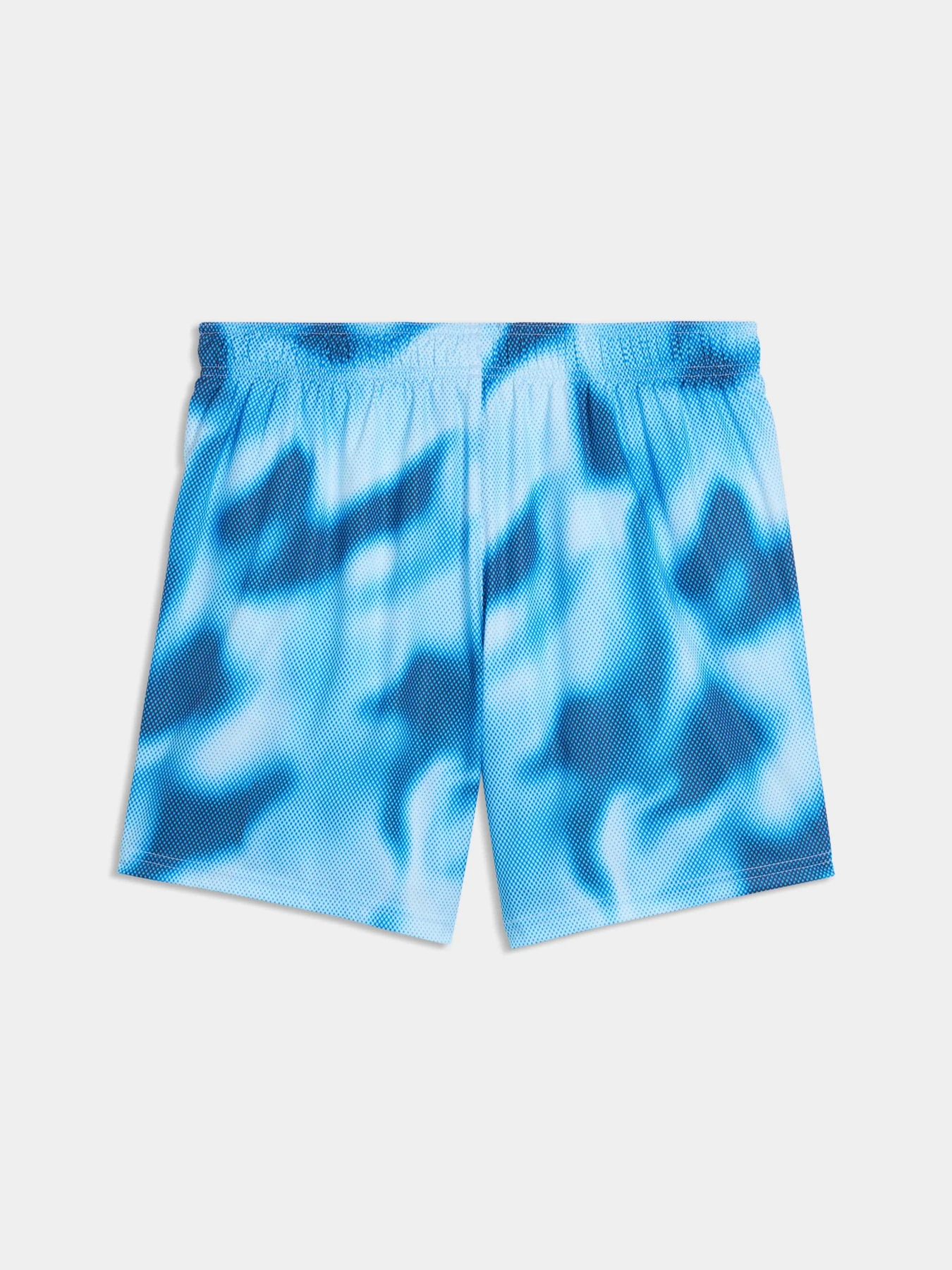 Одежда для пляжа PUMA Swim Men Printed Raster модель 947515 Фото