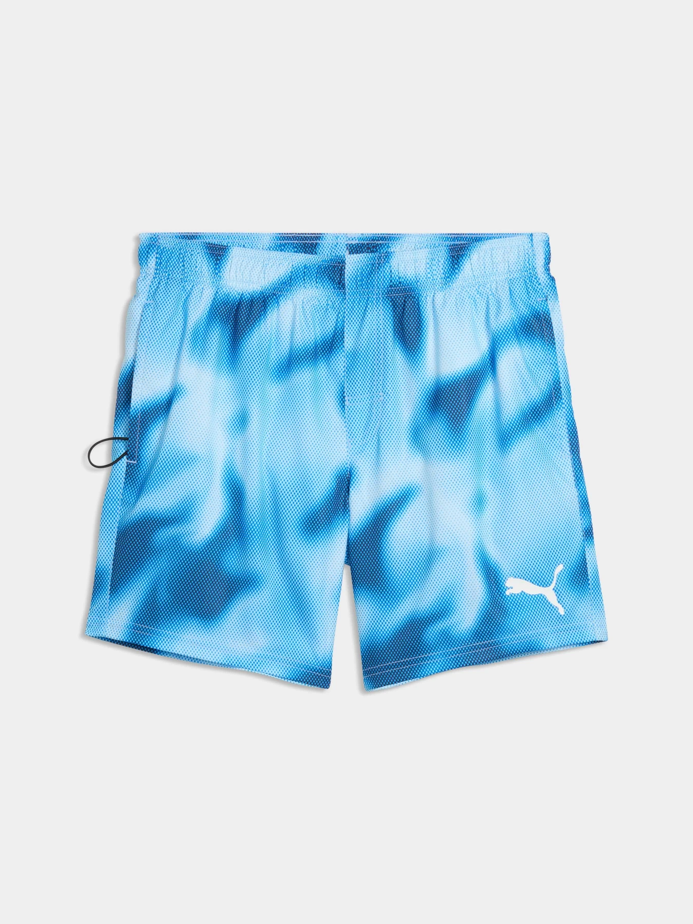 Одежда для пляжа PUMA Swim Men Printed Raster модель 947515 Фото