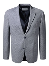Пиджаки Pierre Cardin модель РС-C4 42270.9032.6034 Фото