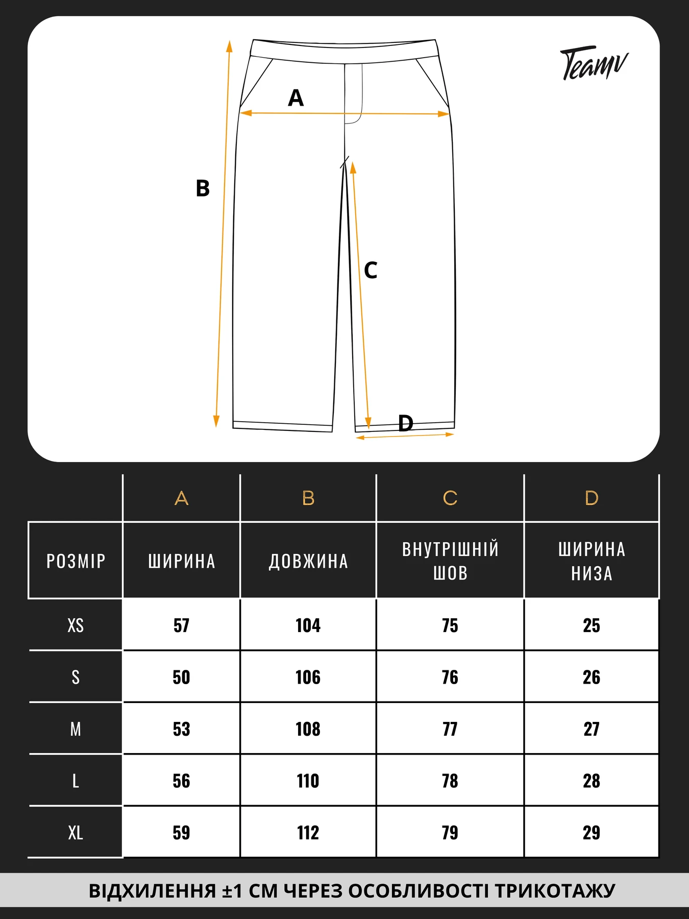 Штани TeamV модель 151-23-WS Штани TeamV модель 151-23-WS Фото