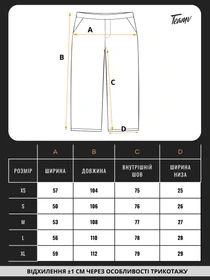 Штани TeamV модель 151-23-WS Фото