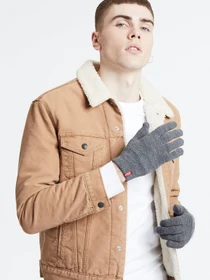 Перчатки и варежки Levi's модель 38029;0031 Фото