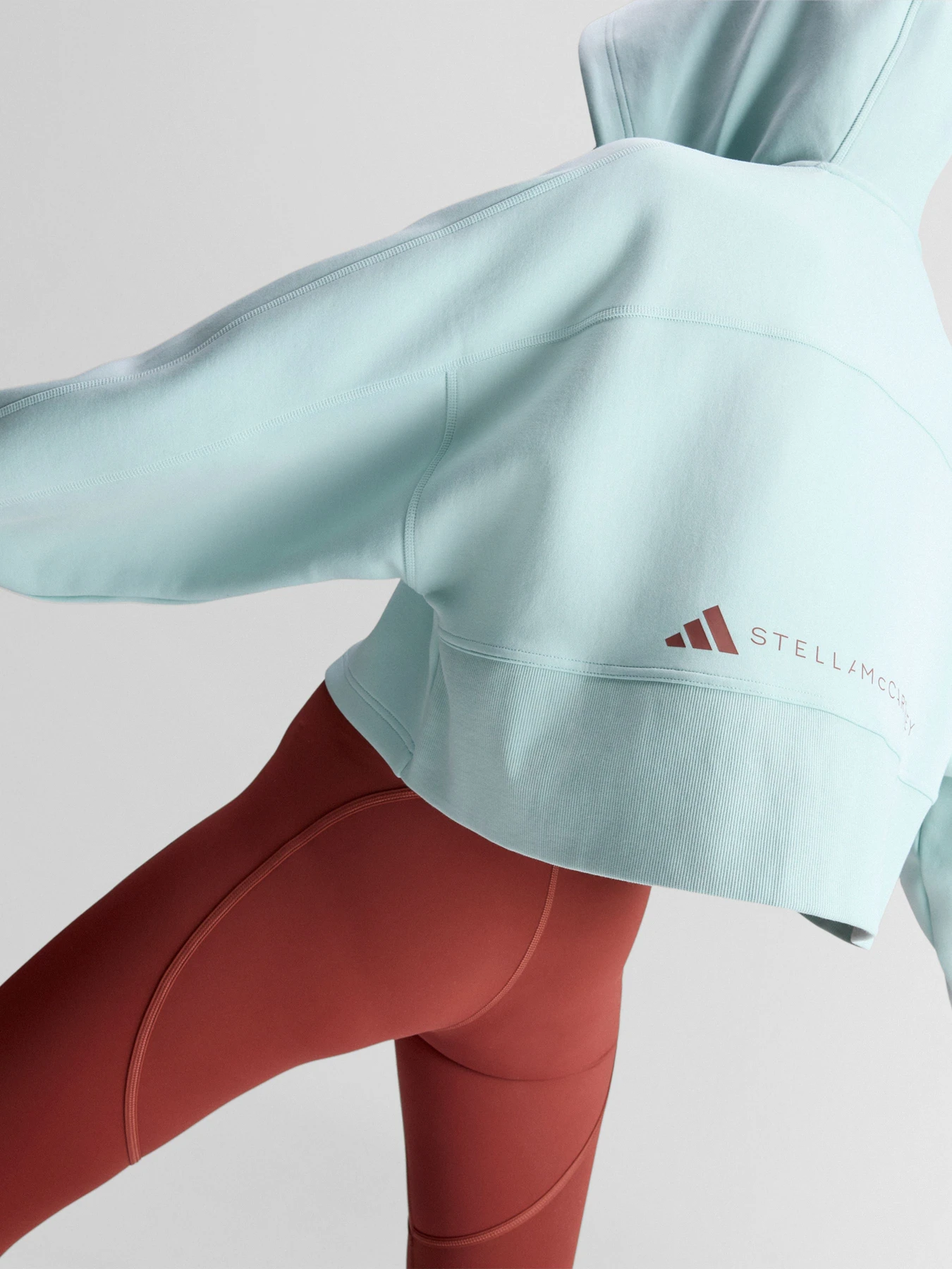 Худи и свитшоты Adidas модель JZ0655 Фото