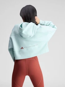Худи и свитшоты Adidas модель JZ0655 Фото