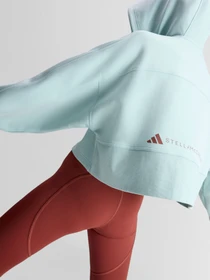 Худи и свитшоты Adidas модель JZ0655 Фото