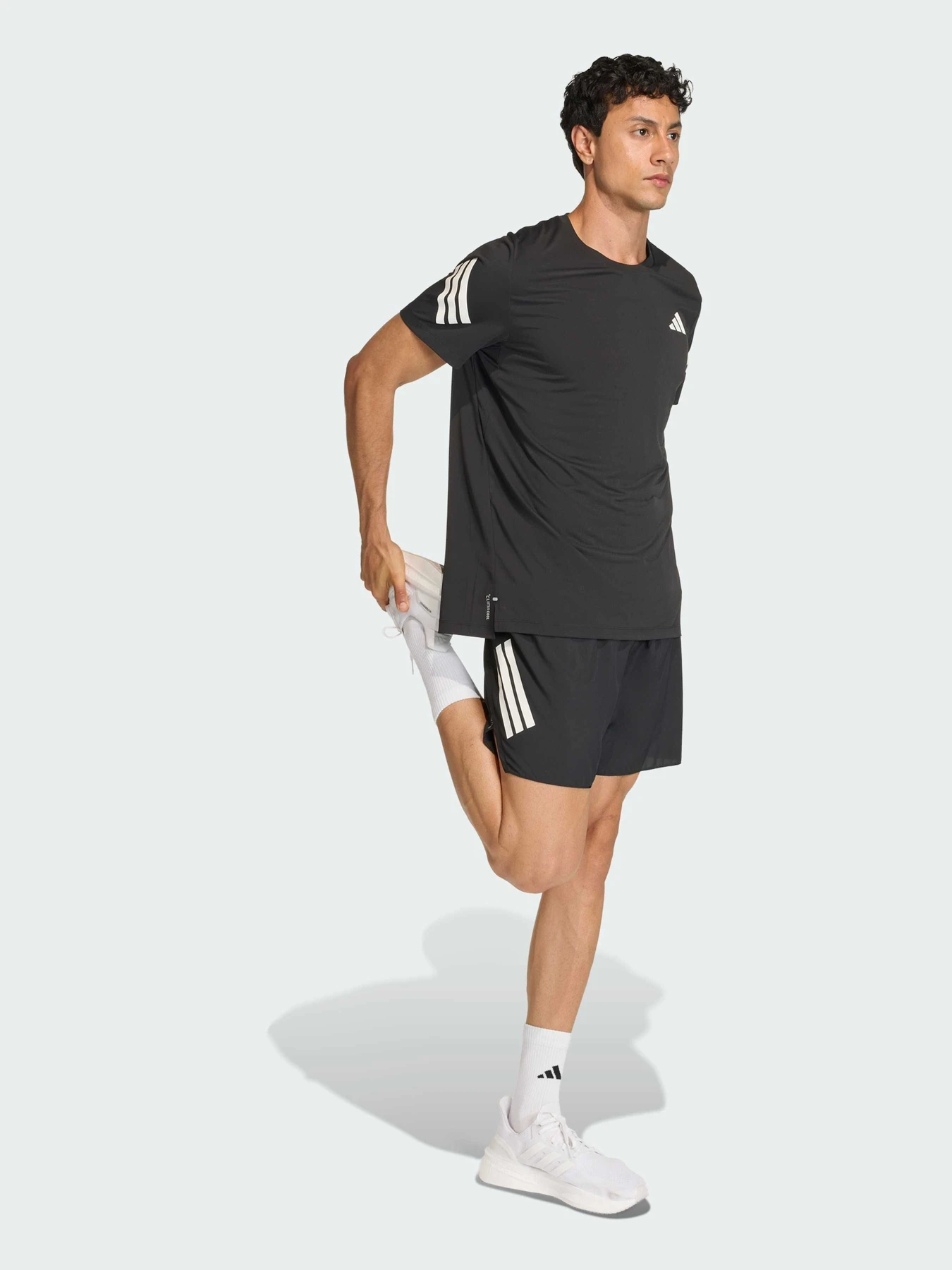 Шорти Adidas модель JZ7709 Фото