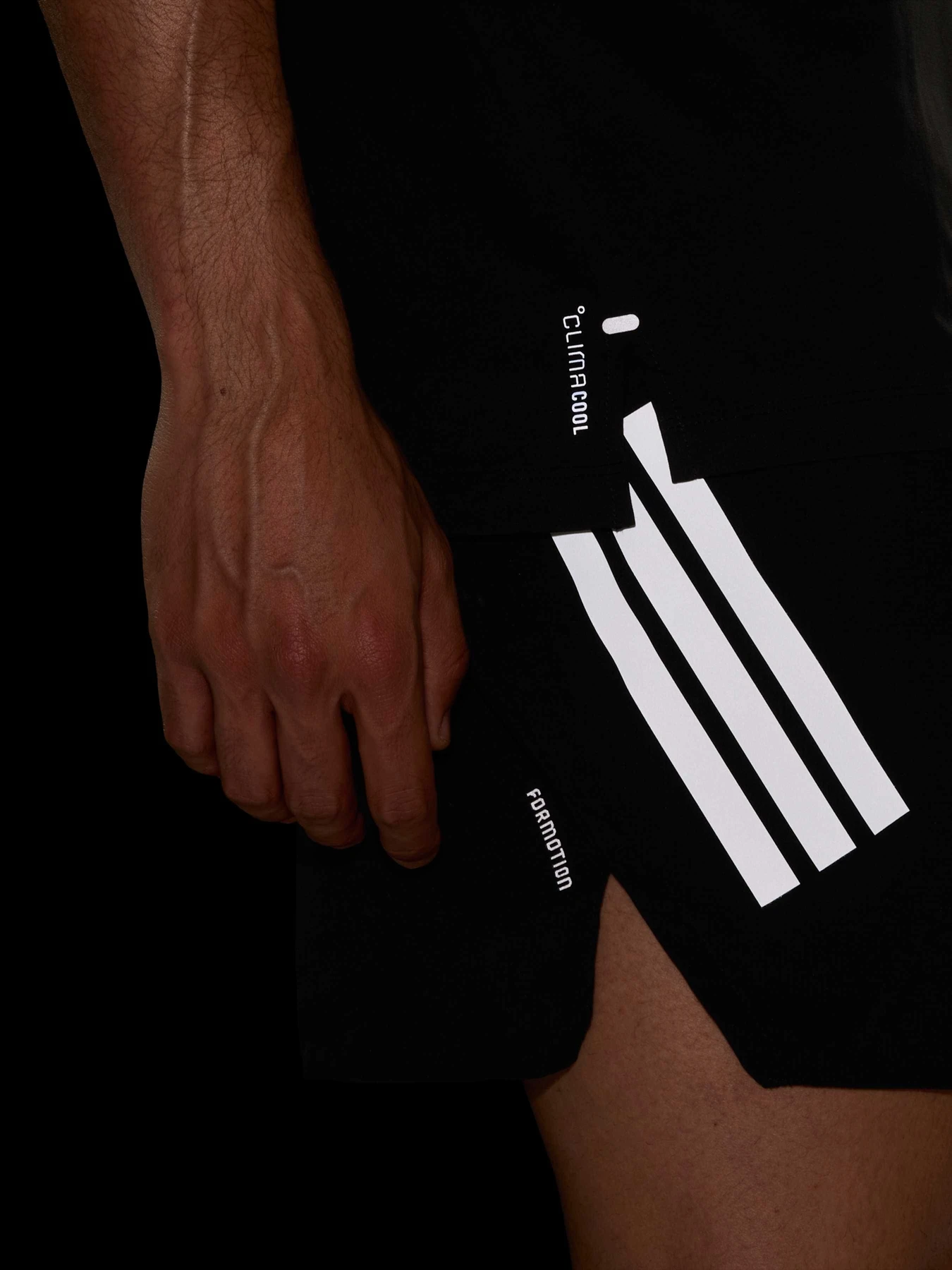 Шорти Adidas модель JZ7709 Фото