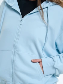 Худі та світшоти Роза модель 211201_grey-blue Фото
