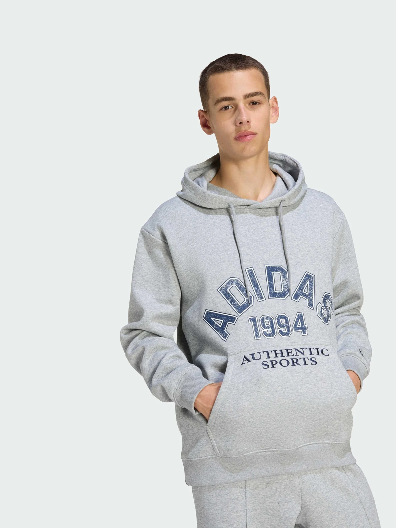 Худи и свитшоты Adidas Graphics модель KE2239 Фото