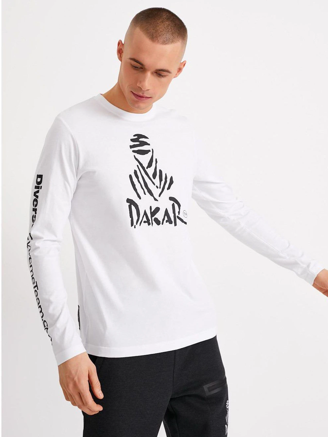 Худи и свитшоты DIVERSE Dext Dkr Lg 03 модель 10036212 Фото