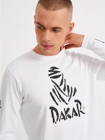 Худи и свитшоты DIVERSE Dext Dkr Lg 03 модель 10036212 Фото