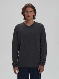 Светри та кардигани DIVERSE Vneck модель 10043348 Фото