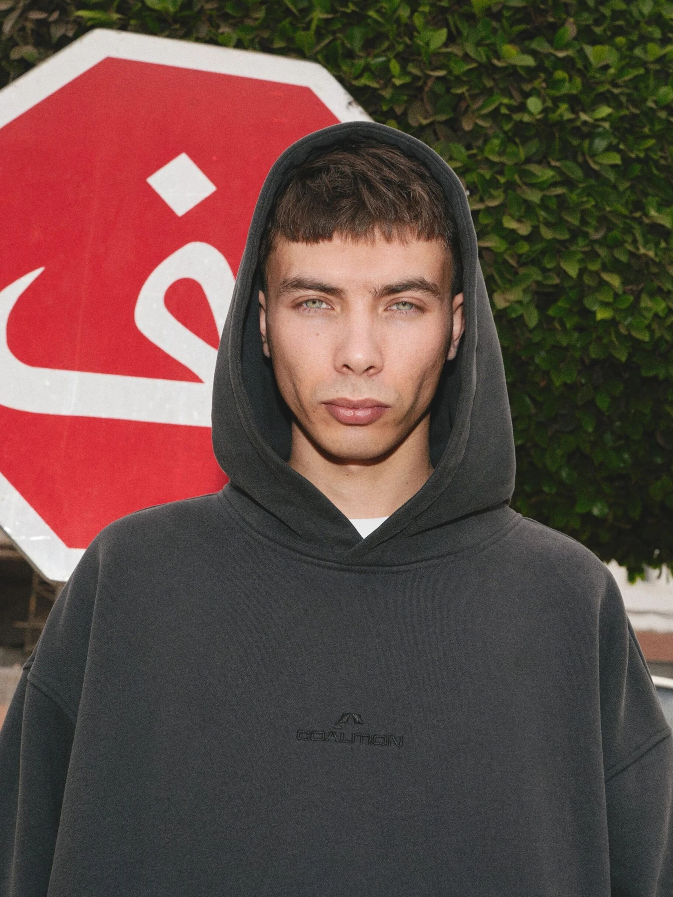 Худи и свитшоты DIVERSE Cltn Sk8 H модель 10049121 Худи и свитшоты DIVERSE Cltn Sk8 H модель 10049121 Фото