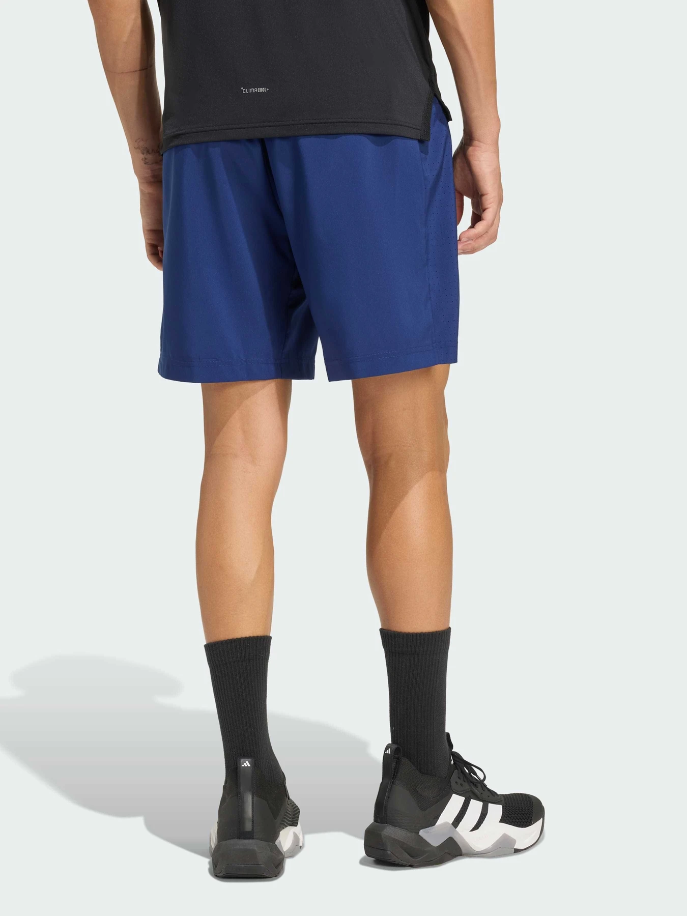Шорты Adidas Adidas Essentials модель KD2947 Фото