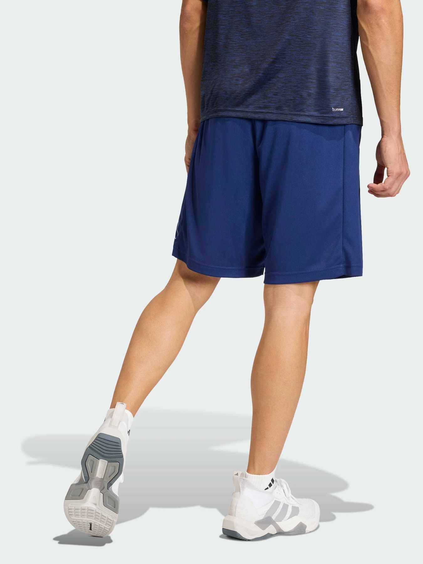 Шорты Adidas Adidas Essentials модель KC8116 Шорты Adidas Adidas Essentials модель KC8116 Фото