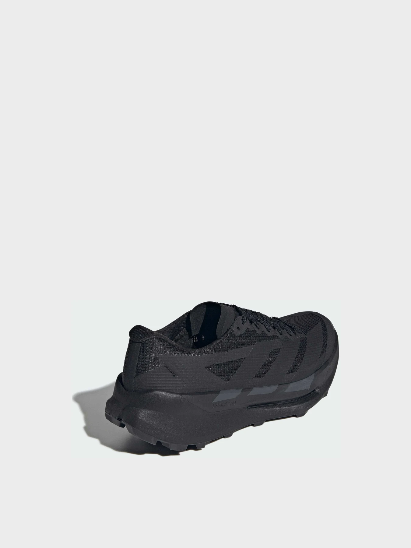 Кроссовки Adidas Terrex модель KI4303 Фото