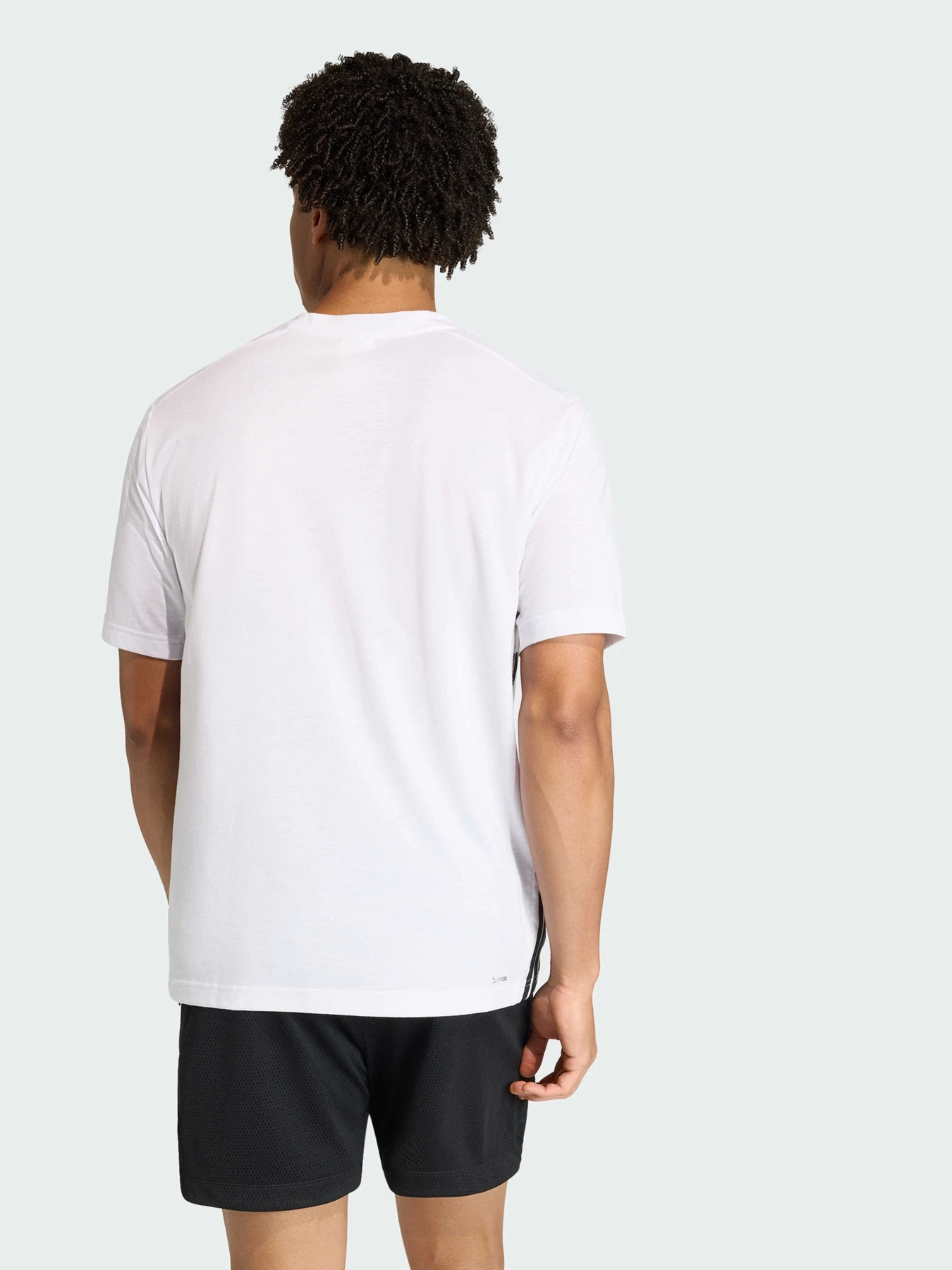 Футболки і поло Adidas Adidas Essentials модель KD0606 Футболки і поло Adidas Adidas Essentials модель KD0606 Фото