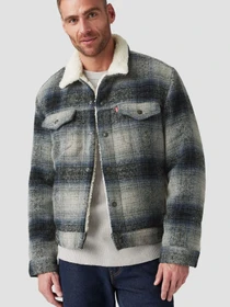 Куртки и дубленки Levi's модель A6027;0006 Фото
