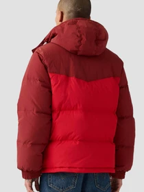 Куртки и дубленки Levi's модель A8557;0005 Фото