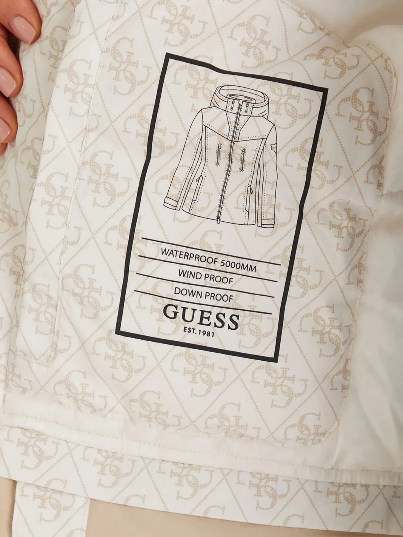 Куртки и дубленки GUESS модель W5BL77.W3272;P0OA Куртки и дубленки GUESS модель W5BL77.W3272;P0OA Фото