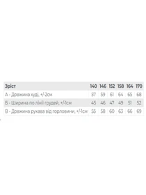 Худи и свитшоты Носи своє модель 6394-057-2-chornij Фото