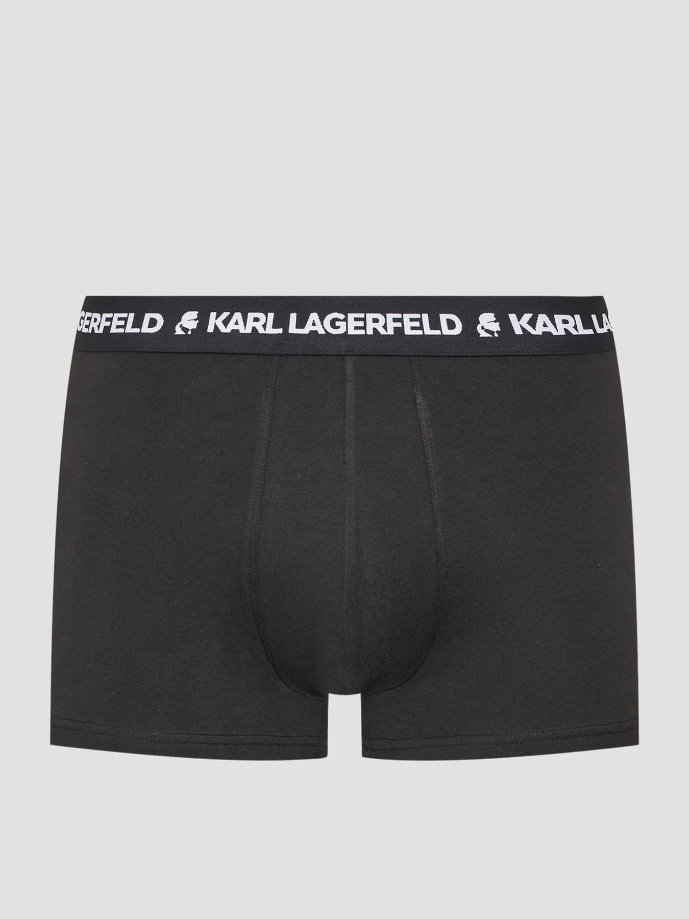 Нижня білизна Karl Lagerfeld модель 220M2125;999 Фото
