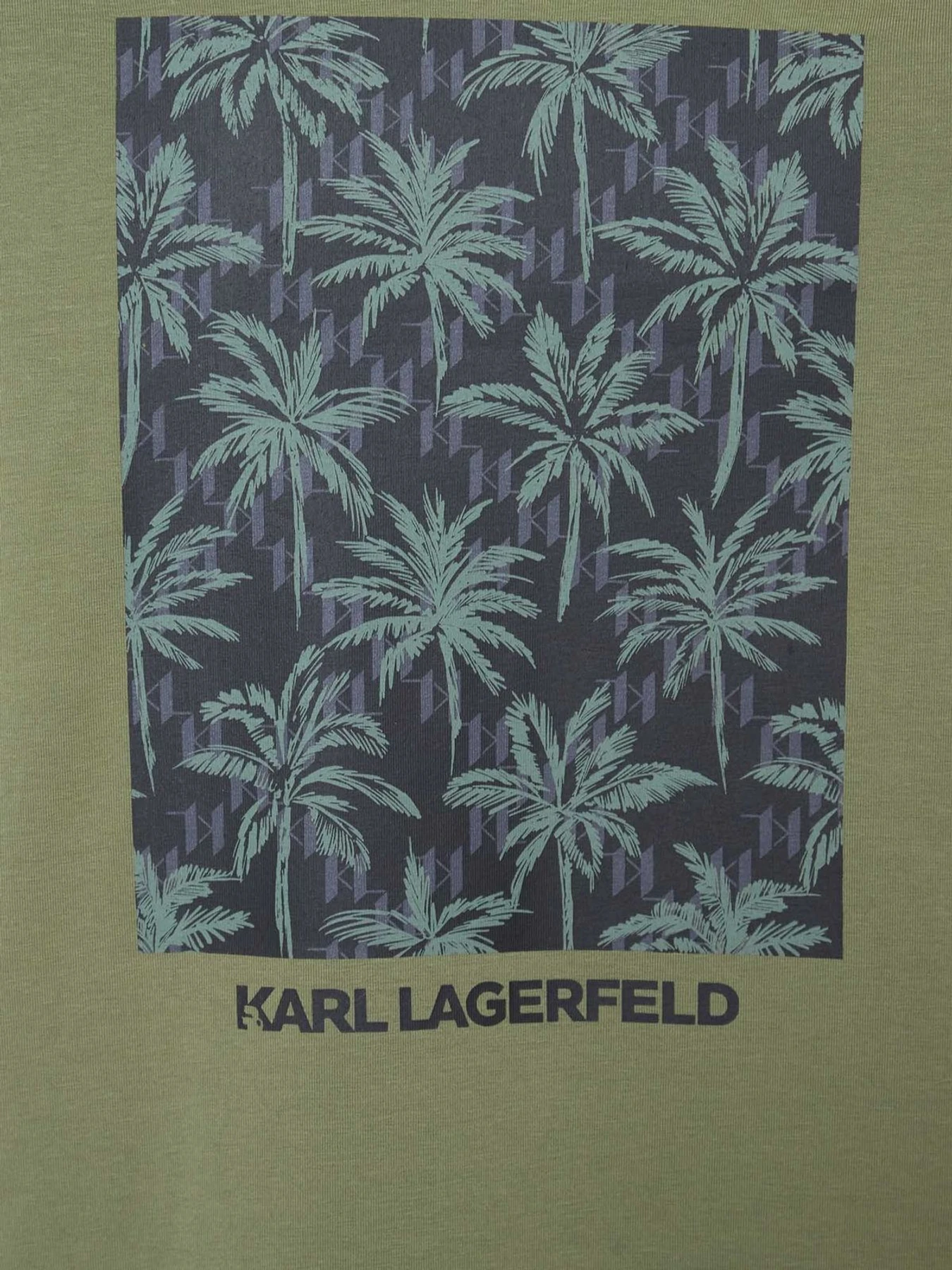 Футболки і поло Karl Lagerfeld модель 562221.755040;550 Фото