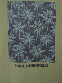 Футболки і поло Karl Lagerfeld модель 562221.755040;550 Фото