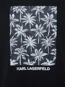 Футболки и поло Karl Lagerfeld модель 562221.755040;990 Фото