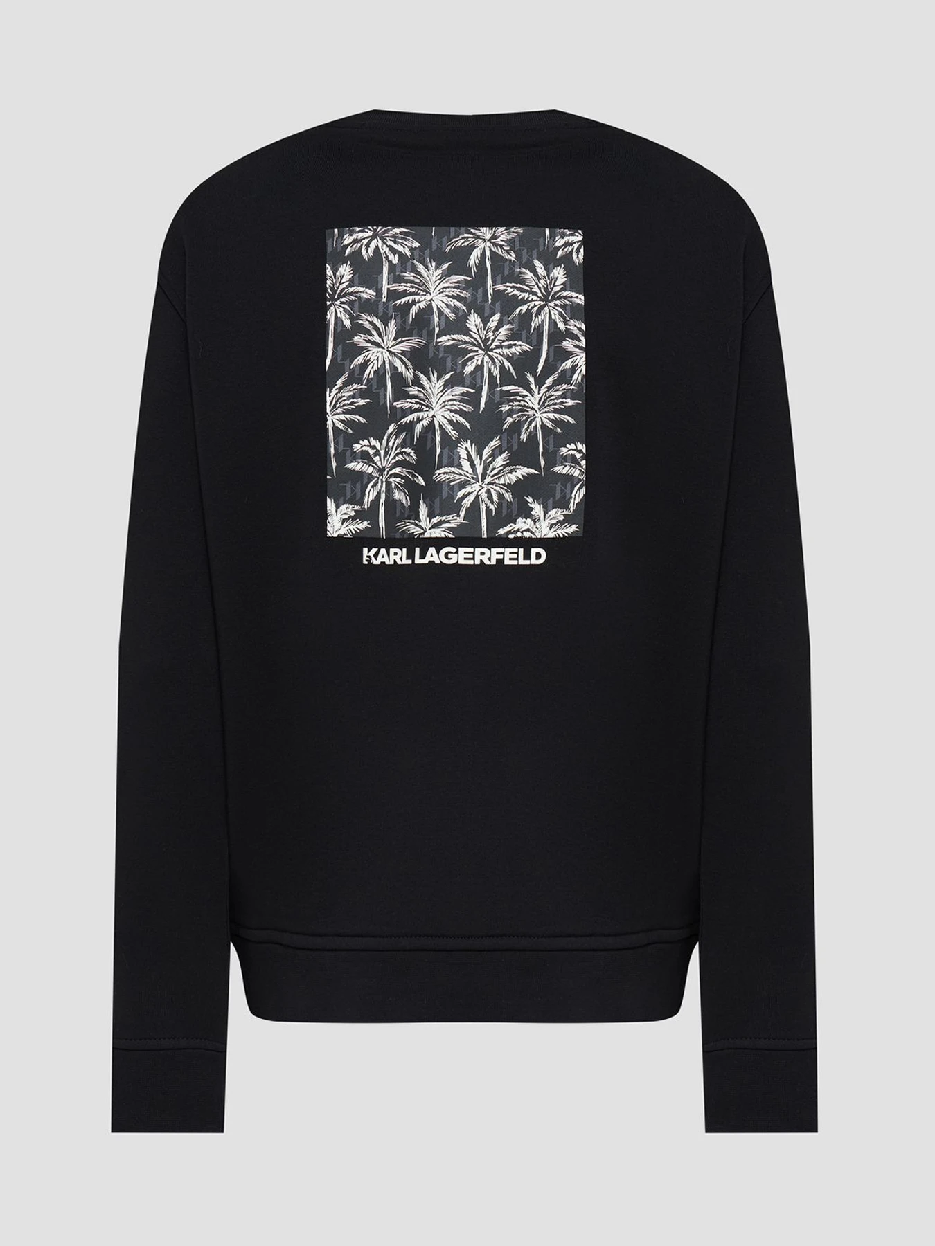 Худи и свитшоты Karl Lagerfeld модель 562900.705011;990 Худи и свитшоты Karl Lagerfeld модель 562900.705011;990 Фото