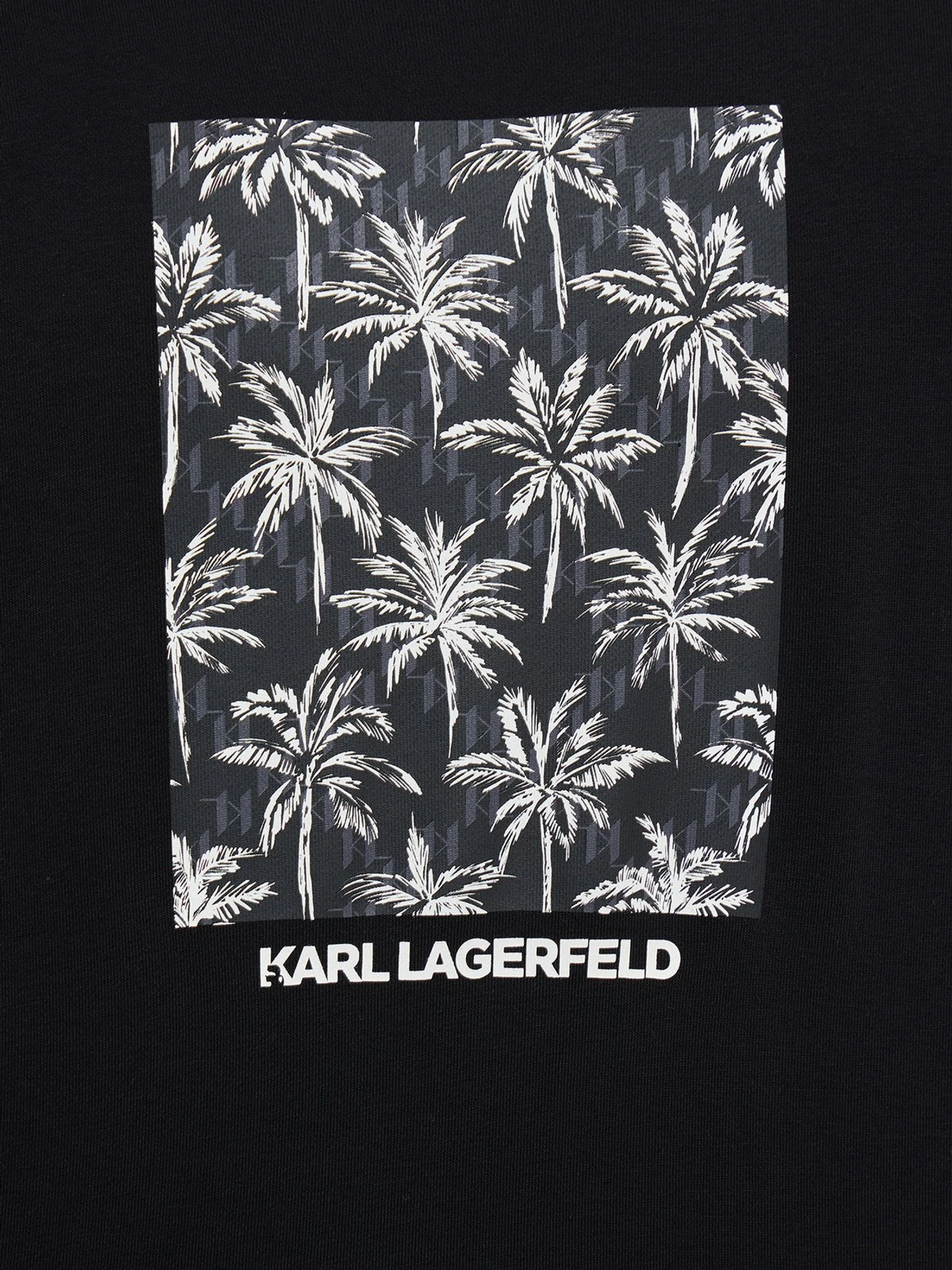 Худи и свитшоты Karl Lagerfeld модель 562900.705011;990 Худи и свитшоты Karl Lagerfeld модель 562900.705011;990 Фото