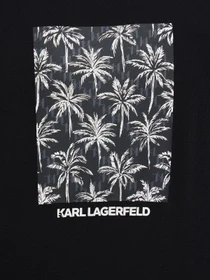 Худи и свитшоты Karl Lagerfeld модель 562900.705011;990 Фото