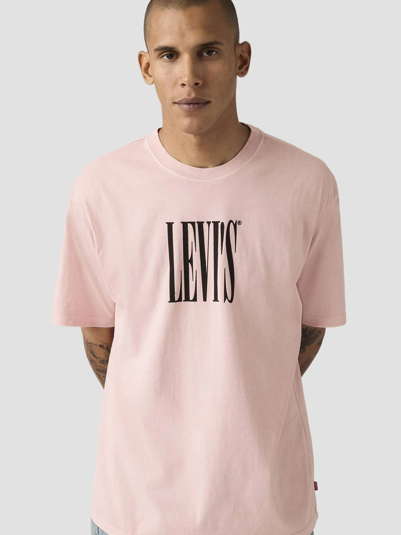 Футболки і поло Levi's модель 87373;0396 Футболки і поло Levi's модель 87373;0396 Фото