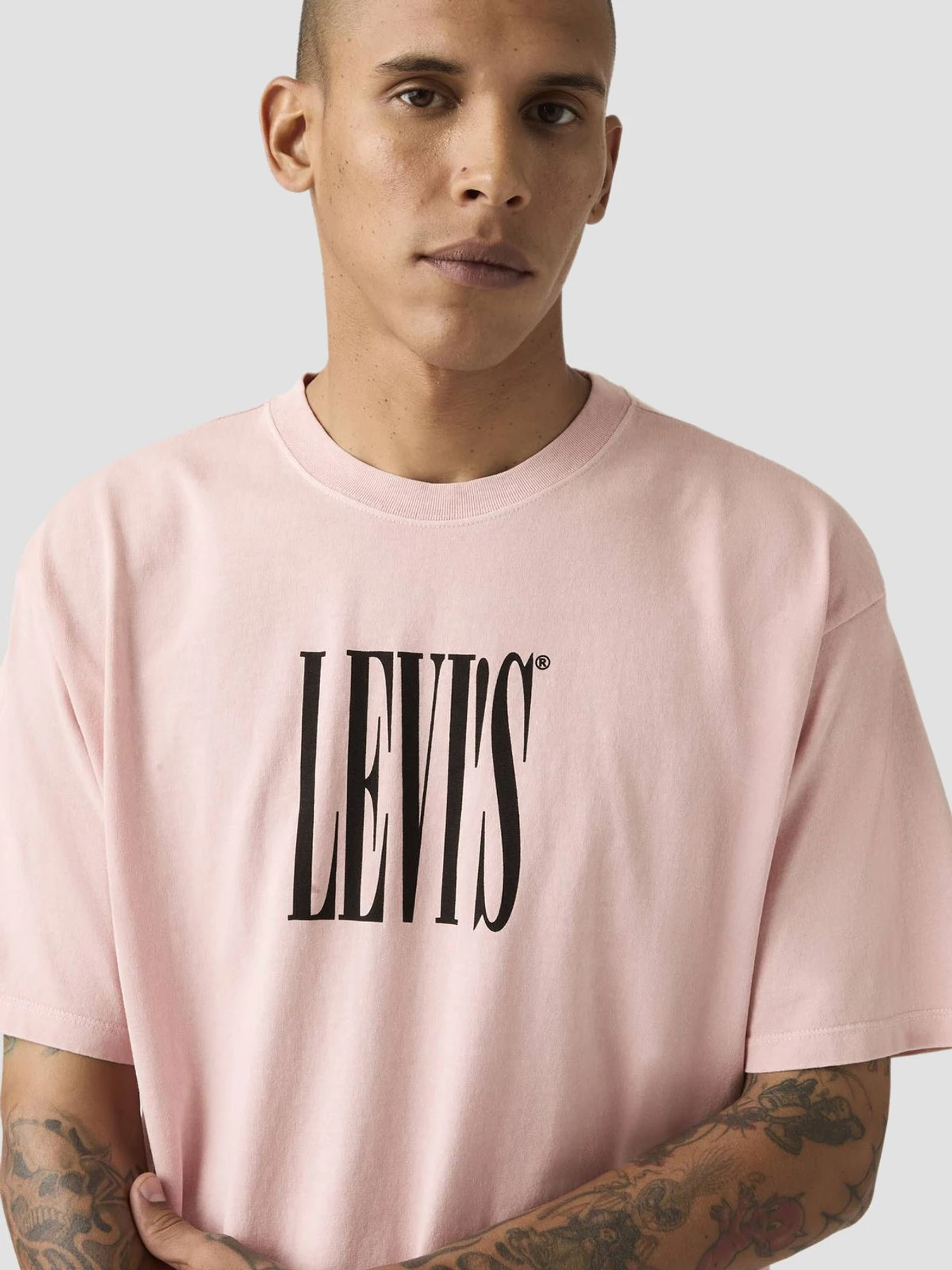 Футболки і поло Levi's модель 87373;0396 Футболки і поло Levi's модель 87373;0396 Фото