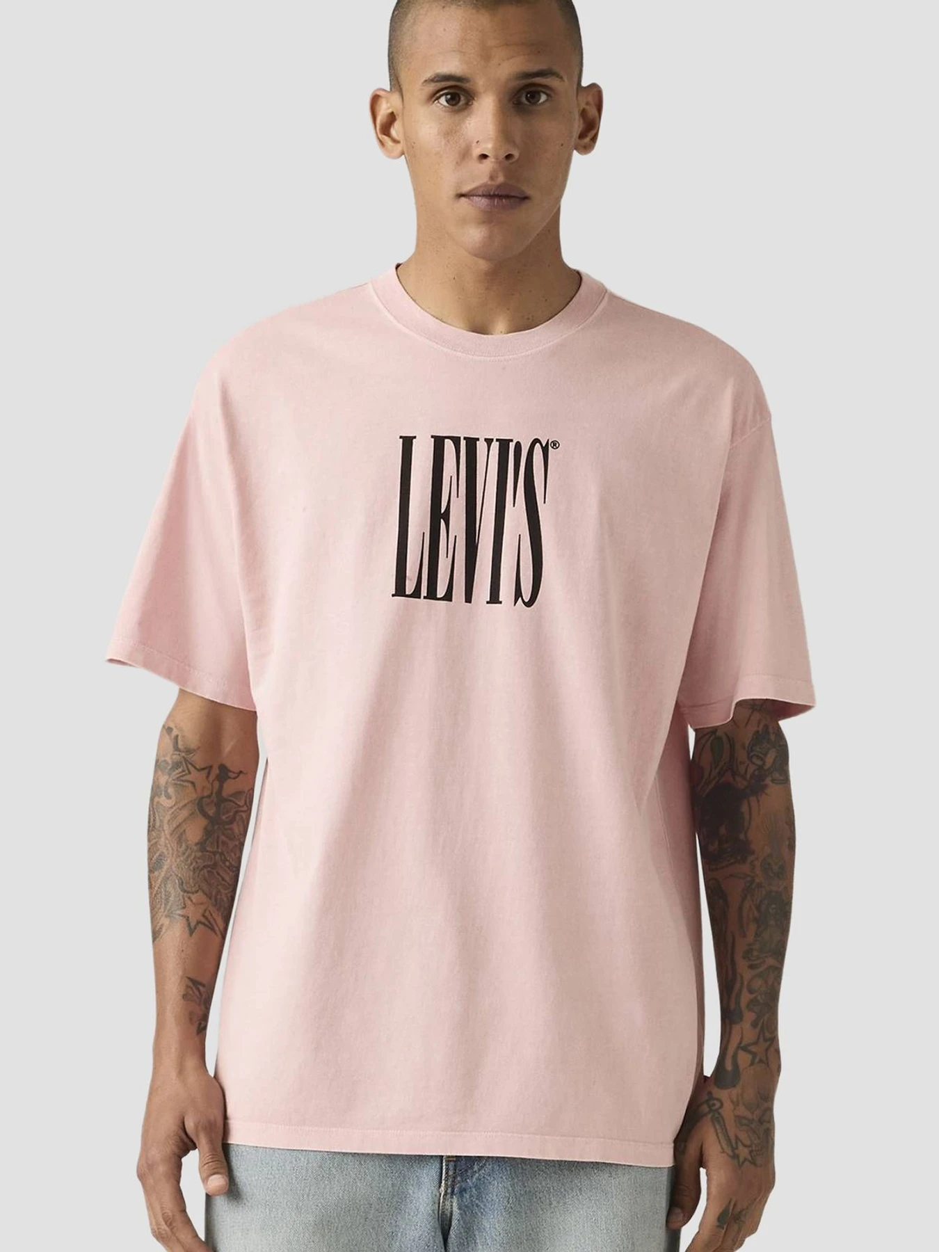 Футболки і поло Levi's модель 87373;0396 Футболки і поло Levi's модель 87373;0396 Фото