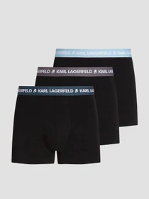 Нижня білизна Karl Lagerfeld модель A1M47021;2CE Фото