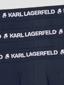 Нижня білизна Karl Lagerfeld модель A1M47151;338 Фото