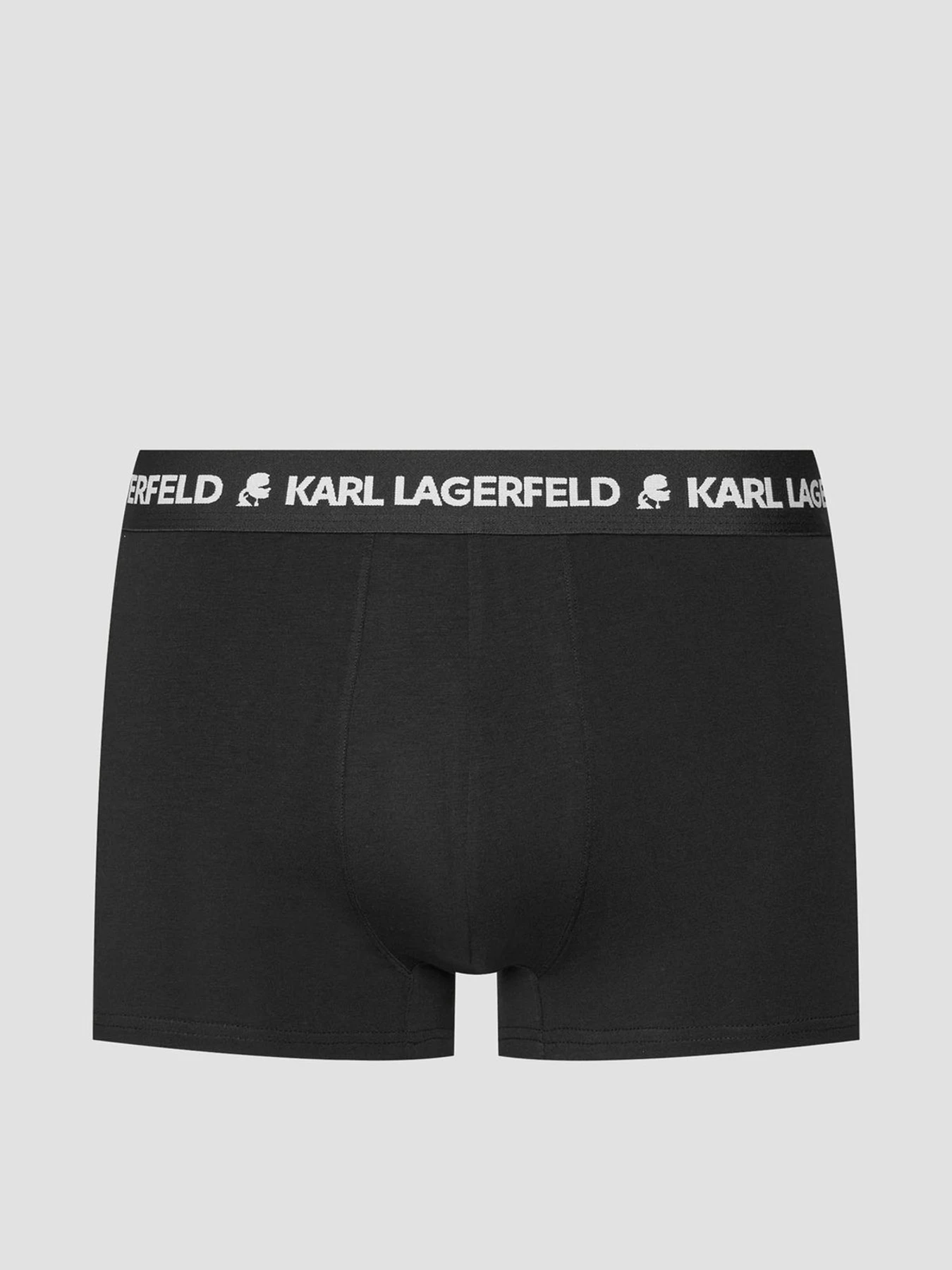 Нижня білизна Karl Lagerfeld модель A1M47151;900 Фото