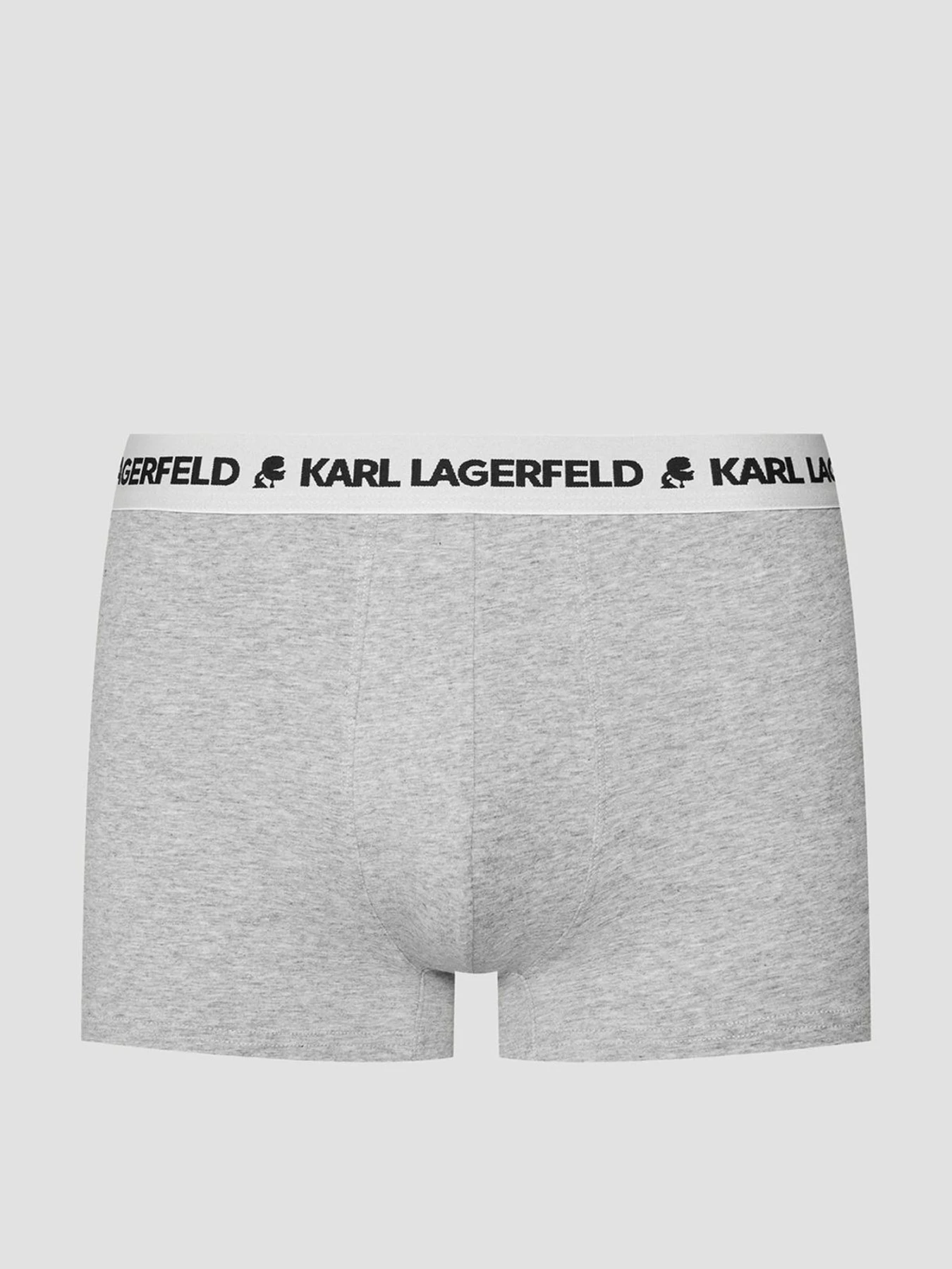 Нижня білизна Karl Lagerfeld модель A1M47151;900 Фото