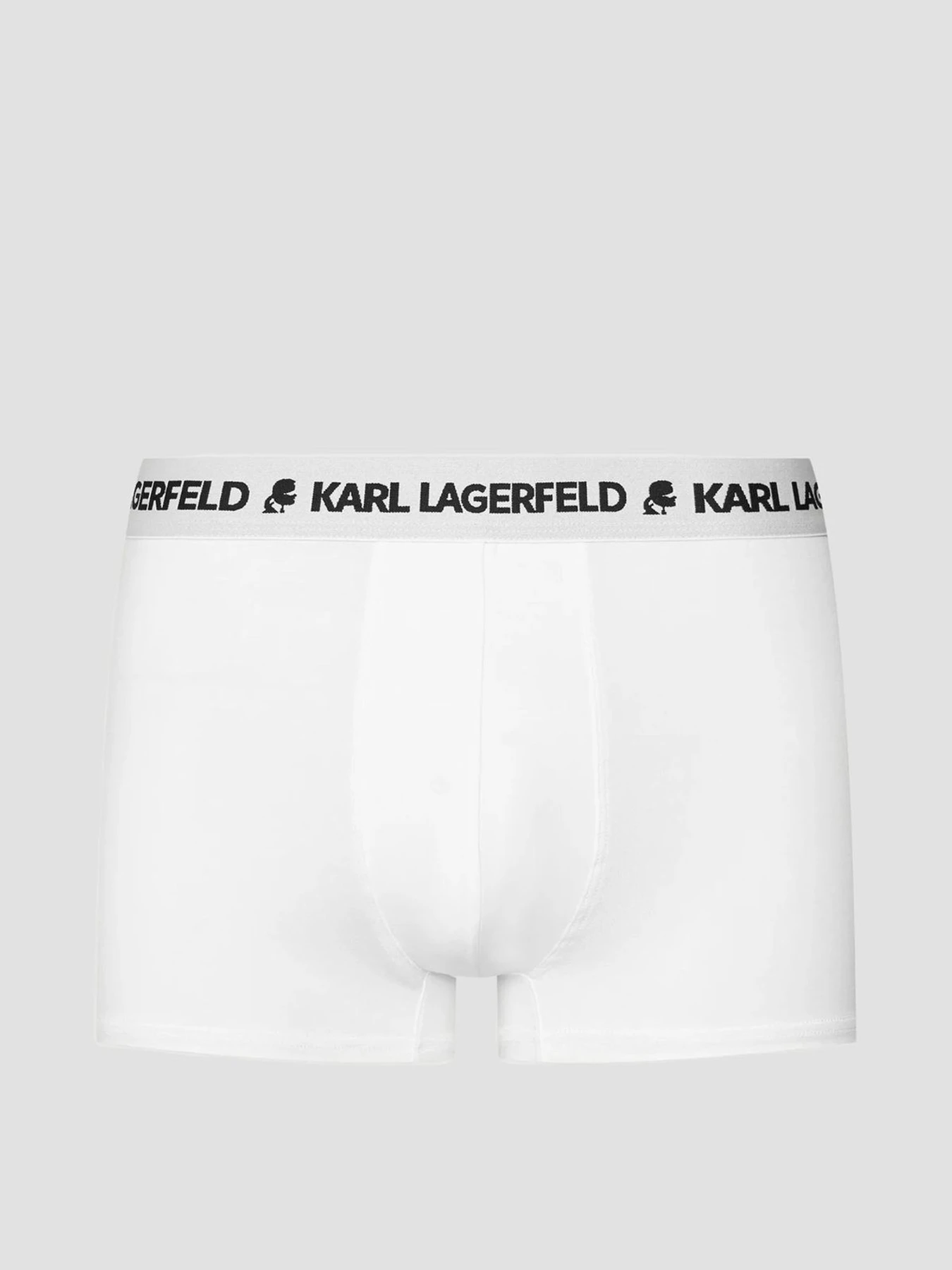 Нижня білизна Karl Lagerfeld модель A1M47151;900 Фото