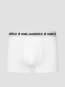 Нижня білизна Karl Lagerfeld модель A1M47151;900 Фото
